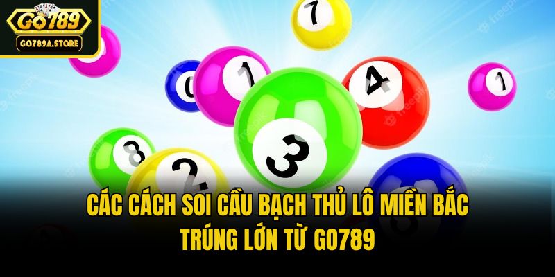 Các Cách Soi Cầu Bạch Thủ Lô Miền Bắc Trúng Lớn Từ Go789